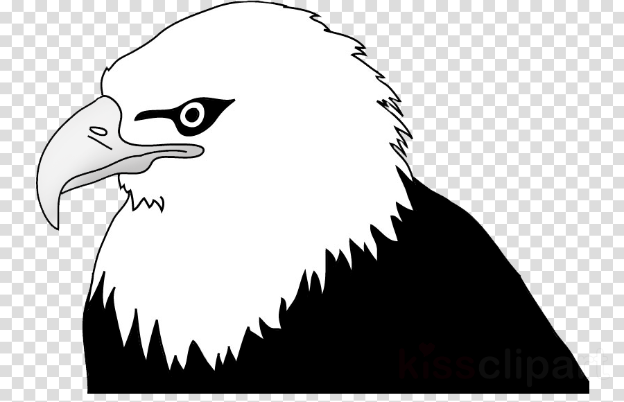 900x580 Bird, Eagle, Transparent Png Image Clipart Free Download - Eagle Black And White Drawing