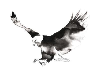 400x300 Black And White Monochrome Painting With Water And Ink Draw Eagle - Eagle Black And White Drawing