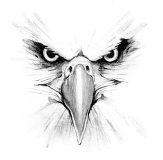236x232 Best Eagle Sketches Images Eagle Drawing, Eagle Painting - Eagle Black And White Drawing