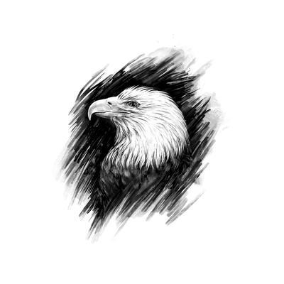 400x400 Eagle Realistic Graphic Drawing Art Print - Eagle Black And White Drawing