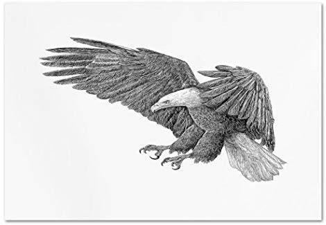 470x325 Large Wall Mural Sticker - Eagle Black And White Drawing
