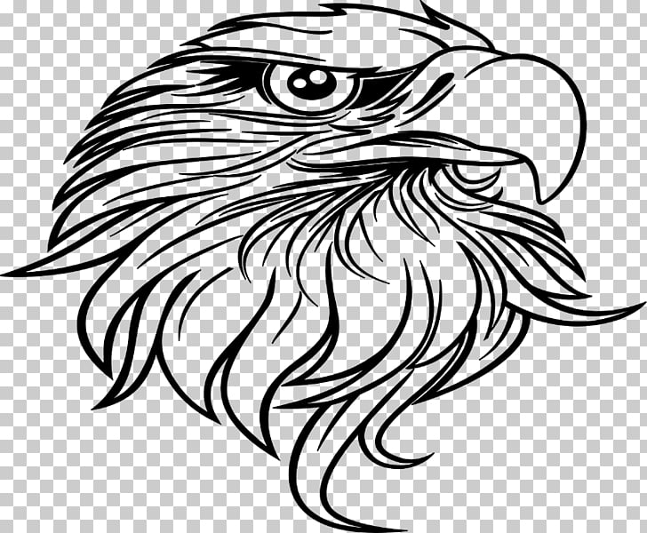 728x600 Bald Eagle Drawing Black And White Hawk Eagle Eagle Png Clipart - Eagle Black And White Drawing