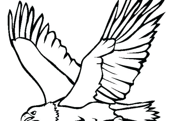 600x425 Bald Eagle Drawings Drawing Factory Clip Art Library American Outline - Eagle Black And White Drawing