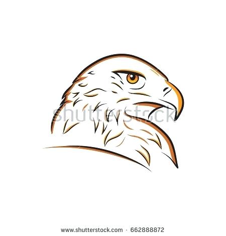 450x470 Cartoon Head Bald Eagle Bird National Canvas Outline Images Drawing - Eagle Cartoon Drawing