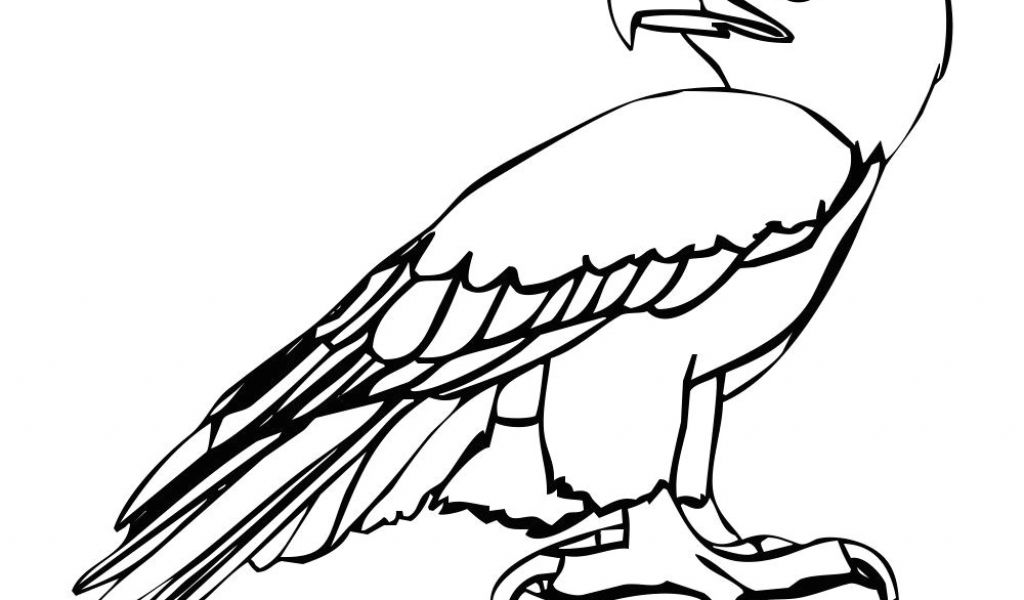 1024x600 Drawing Cartoon On Computer Eagle Cartoon Drawing In Steps - Eagle Cartoon Drawing