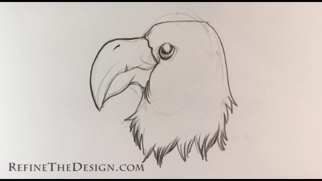 1280x720 Drawing An Eagle Quickly - Eagle Cartoon Drawing