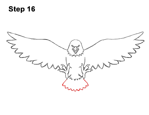 500x386 How To Draw A Bald Eagle - Eagle Cartoon Drawing