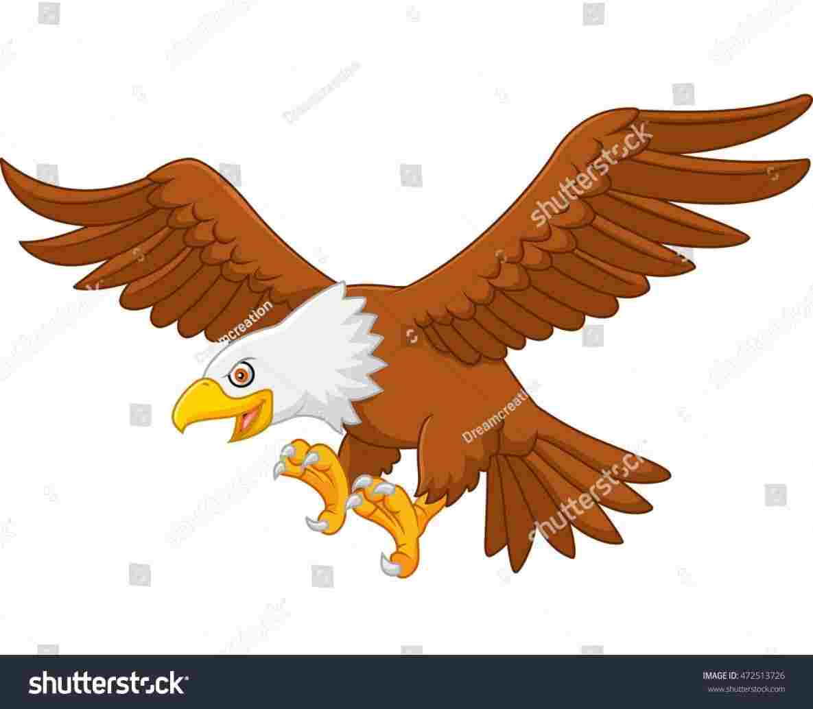1185x1034 Eagle Cartoon Drawing - Eagle Cartoon Drawing