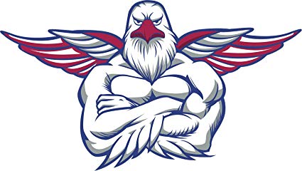 425x240 Strong Serious Bald Eagle Cartoon Vinyl Decal Sticker - Eagle Cartoon Drawing