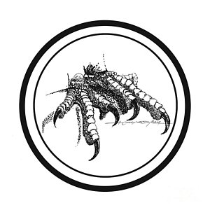 300x300 Eagle Claw Drawings Fine Art America - Eagle Claws Drawing