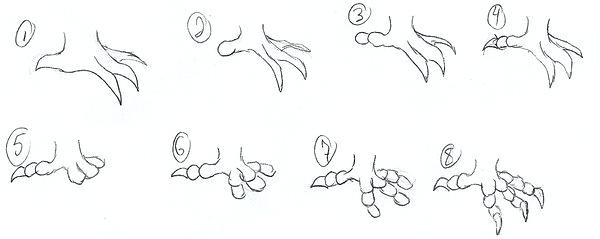 600x239 How To Draw A Egale How To Draw An Eagle Claw - Eagle Claws Drawing