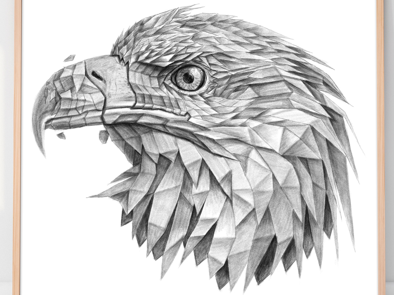 800x600 Eagle Drawing, Portrait Drawing, Art Prints, Eagle Polygonal - Eagle Drawing