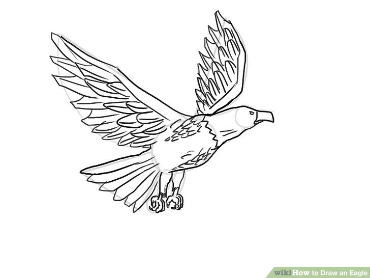 728x546 Ways To Draw An Eagle - Eagle Drawing