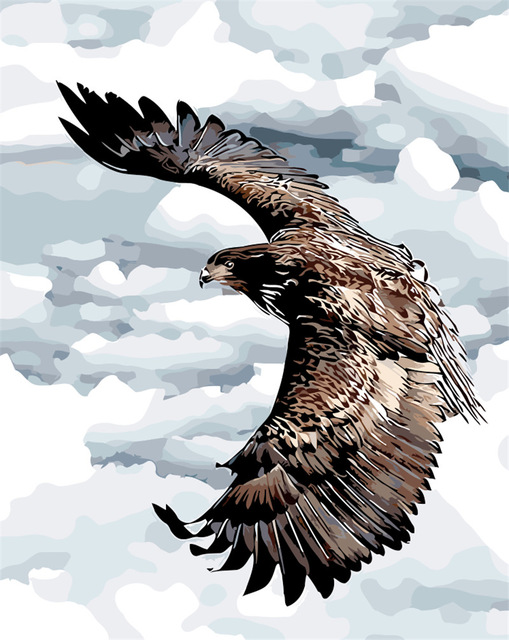 509x640 Soaring Eagle In The Sky Diy Painting - Eagle Drawing