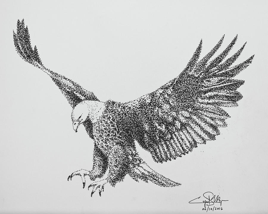 900x720 Bald Eagle Drawing - Eagle Drawing