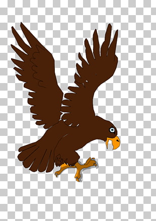 310x439 Eagle Drawing Cartoon Eagle Png Clipart Free Cliparts Uihere - Eagle Drawing Cartoon