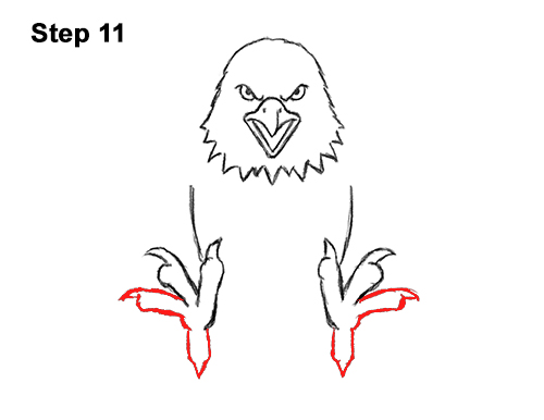 500x386 How To Draw A Bald Eagle - Eagle Drawing Cartoon