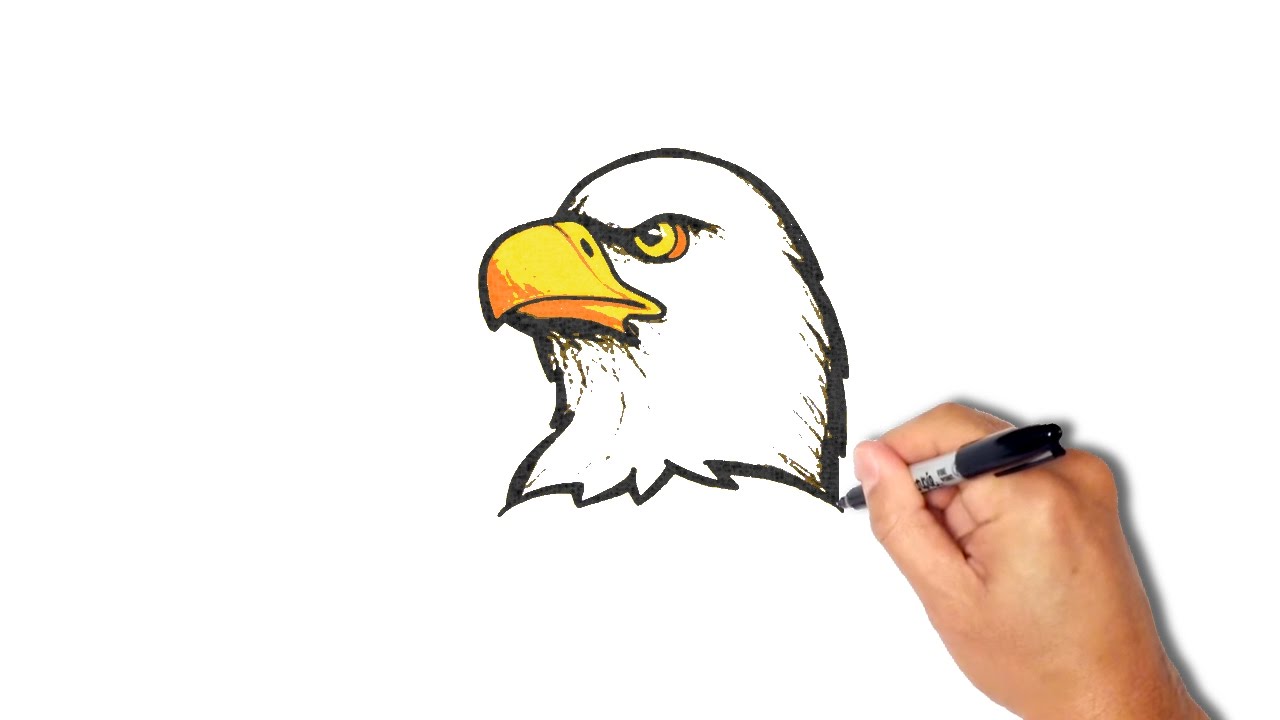 1280x720 How To Draw An Eagle Head - Eagle Drawing Cartoon