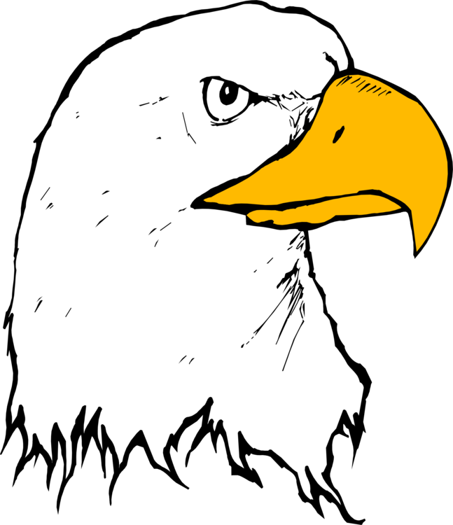 647x750 Bald Eagle Bolton Crossing Drawing Cartoon Cc0 - Eagle Drawing Cartoon