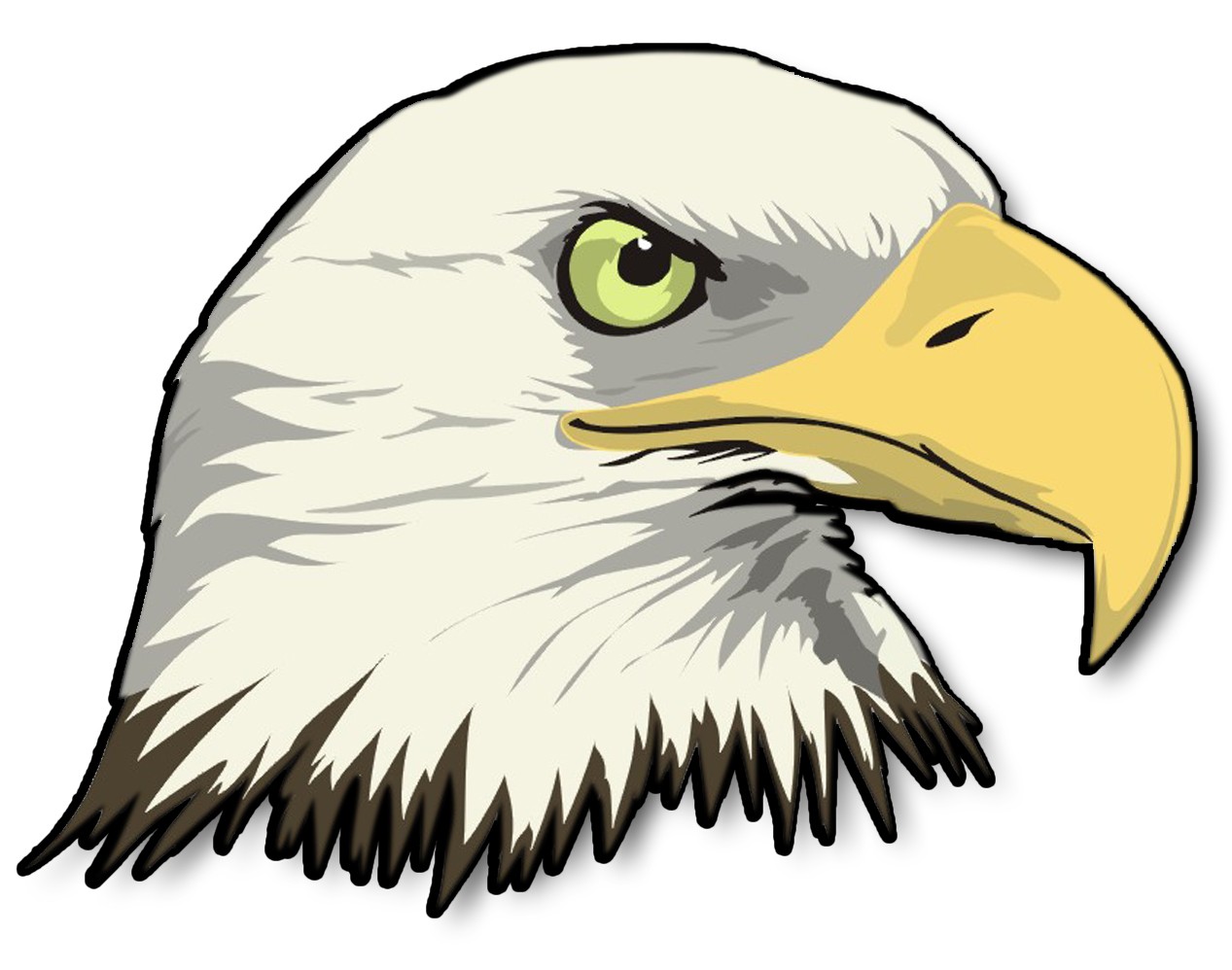 1267x998 Bald Eagle Cartoons - Eagle Drawing Cartoon