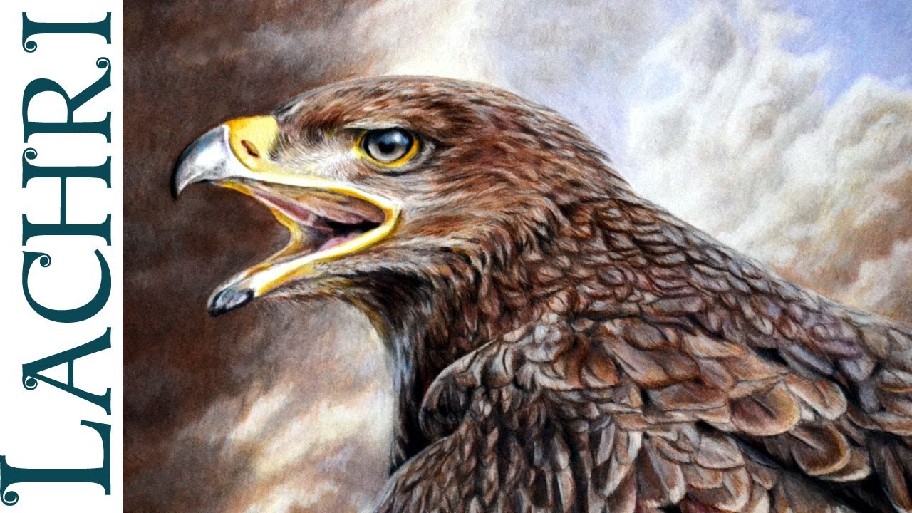 1280x720 drawing an eagle w faber castell polychromos colored pencil - Eagle Drawing Color