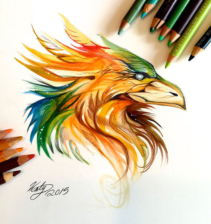700x744 Pencil Color Eagle - Eagle Drawing Color