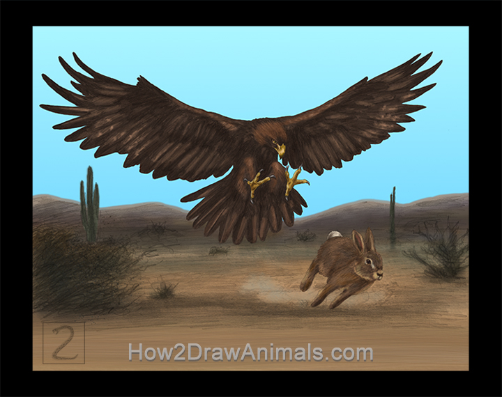 720x570 Special Golden Eagle Hunting A Rabbit Drawing - Eagle Drawing Color