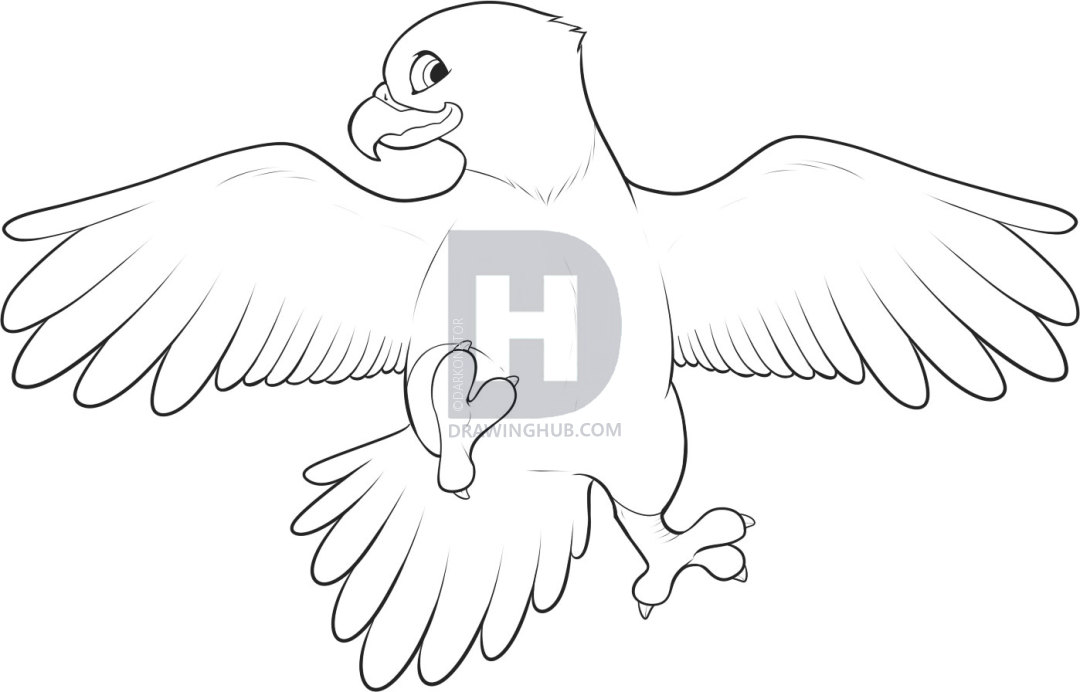 1080x692 How To Draw An Easy Eagle, Step - Eagle Drawing Easy