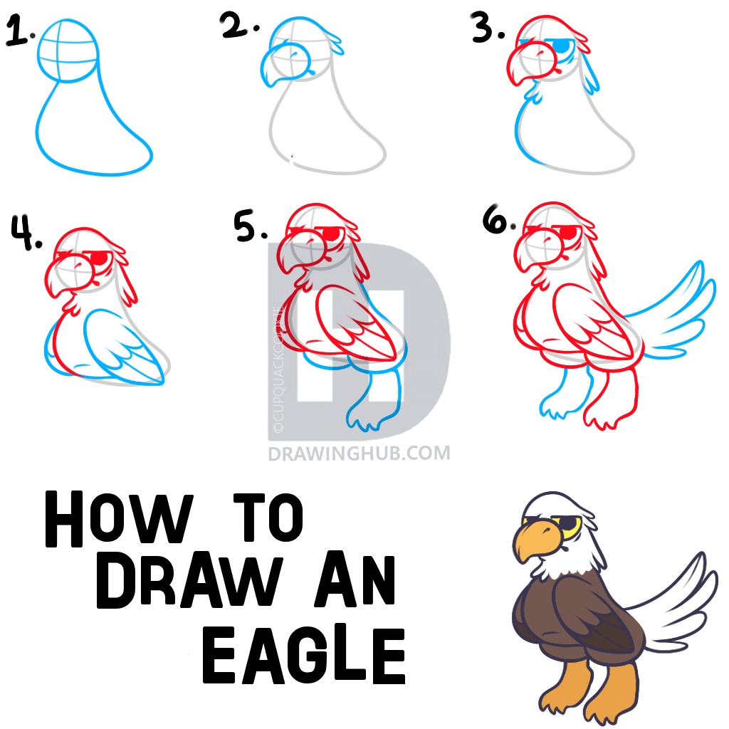 1024x1024 How To Draw An Easy Eagle, Step - Eagle Drawing Easy