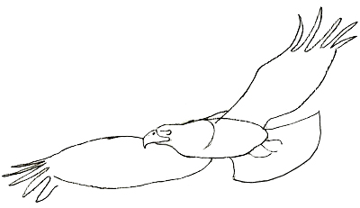 400x231 How To Draw An Eagle - Eagle Drawing Easy