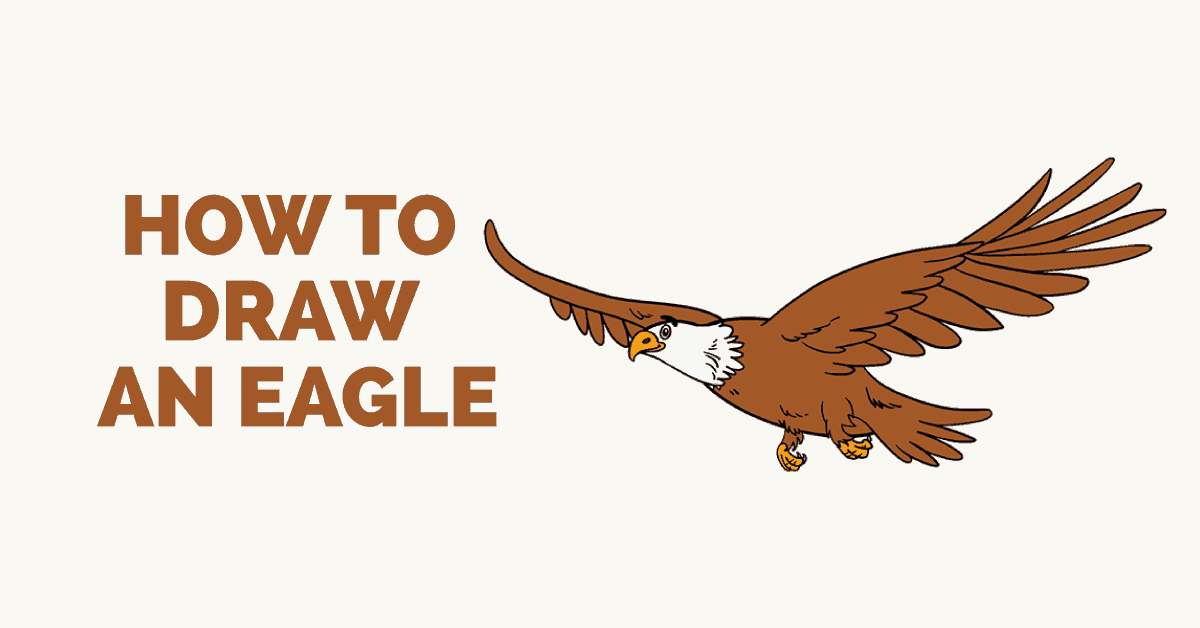1200x628 How To Draw An Eagle In A Few Easy Steps Easy Drawing Guides - Eagle Drawing Easy