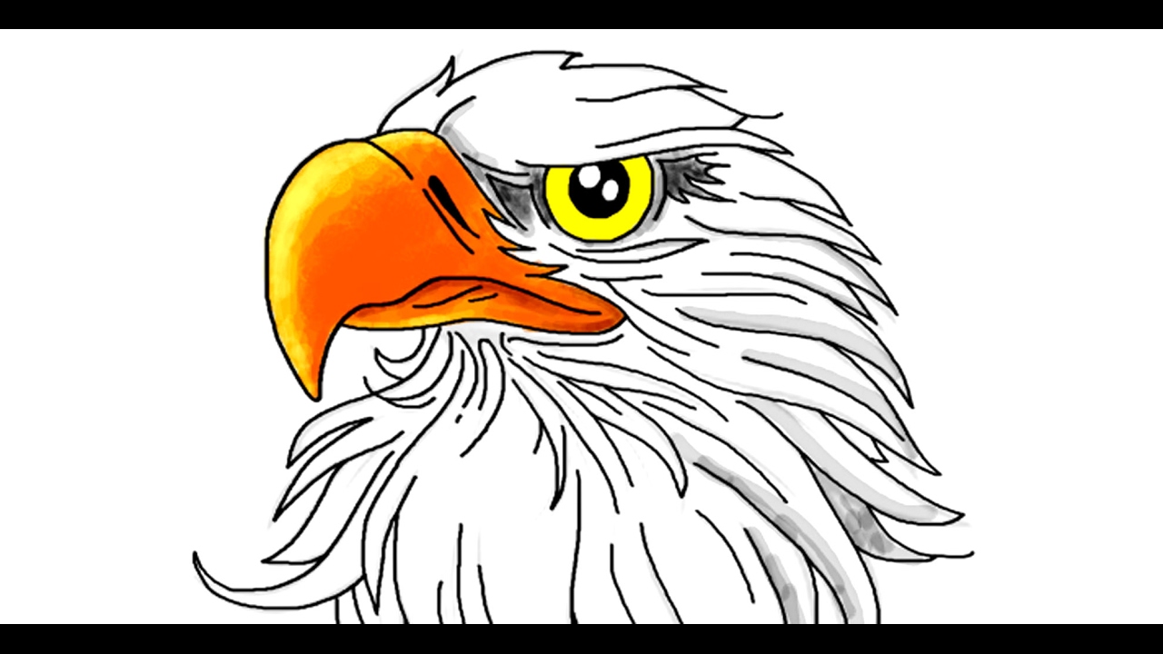 1280x720 How To Draw An Easy Eagle - Eagle Drawing Easy