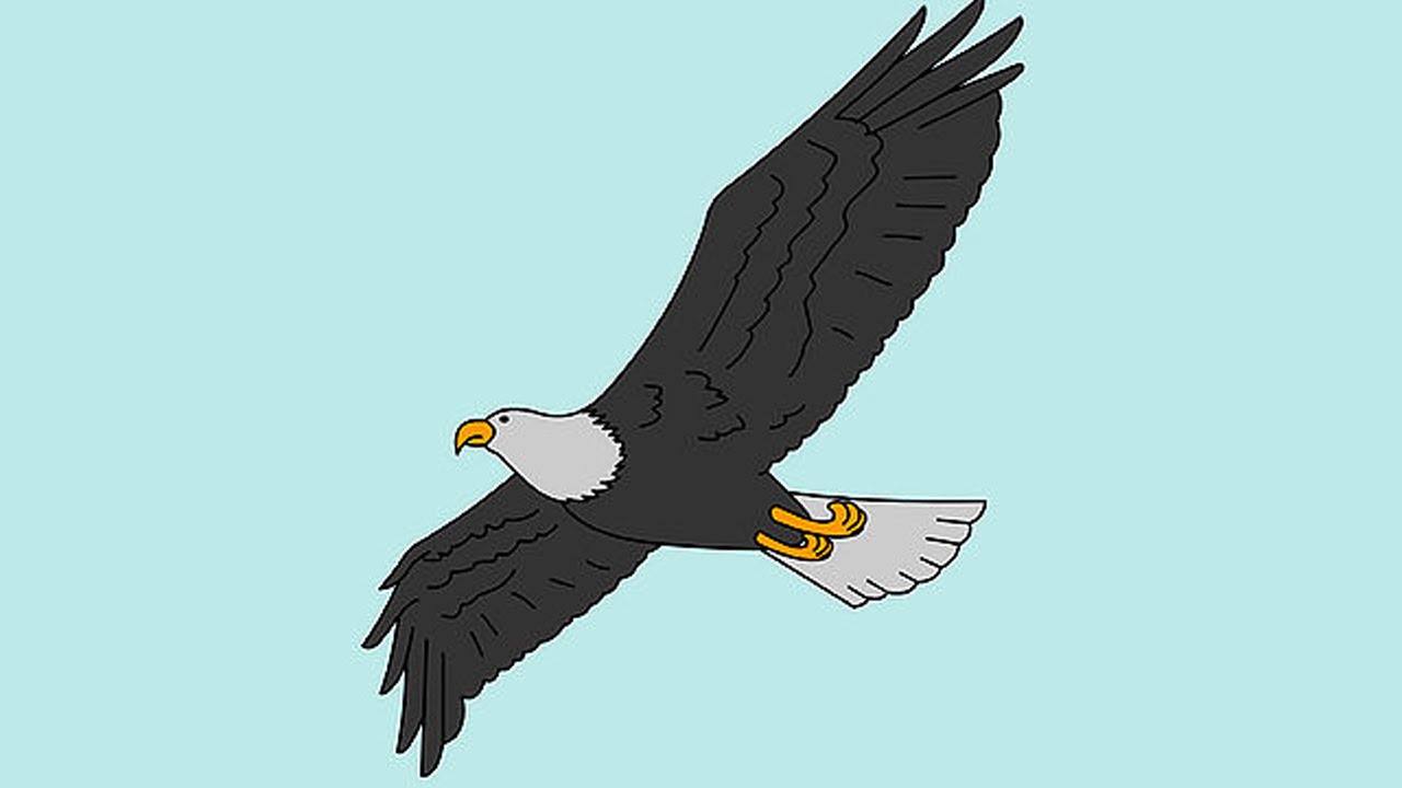 1280x720 How To Draw A Bald Eagle For Kids - Eagle Drawing For Kids