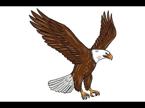 480x360 How To Draw An Eagle Easy Step - Eagle Drawing For Kids