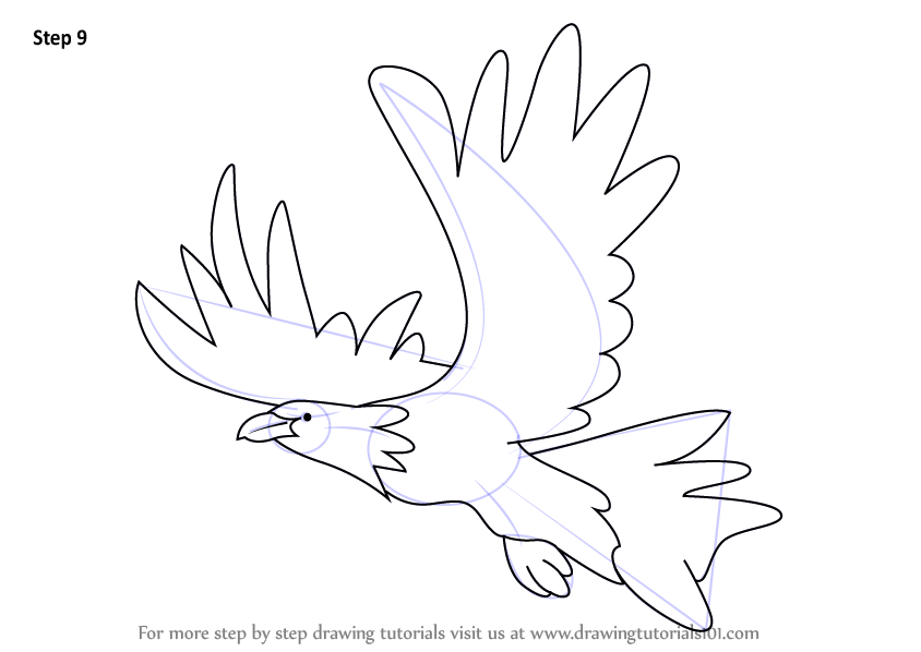 844x598 Learn How To Draw An Eagle For Kids - Eagle Drawing For Kids