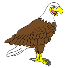 250x226 Eagle Drawing For Kids - Eagle Drawing For Kids