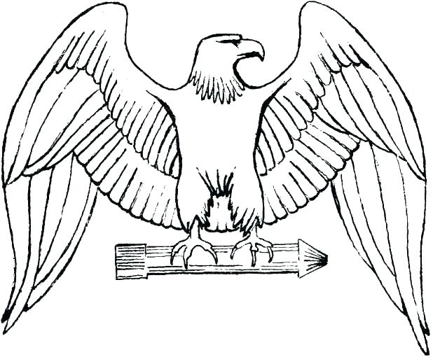 618x510 Bald Eagle Coloring Sheet - Eagle Drawing For Kids
