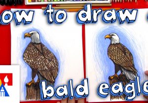 300x210 Eagle Drawing For Kids How To Draw An Eagle Head - Eagle Drawing For Kids