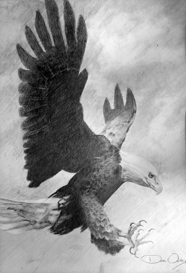 612x900 Eagle Drawing - Eagle Drawing Images