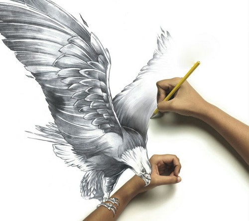 500x444 Epic Eagle Drawing Discovered - Eagle Drawing Images
