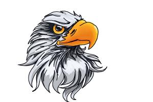 300x200 How To Draw An Eagle Head - Eagle Drawing Images
