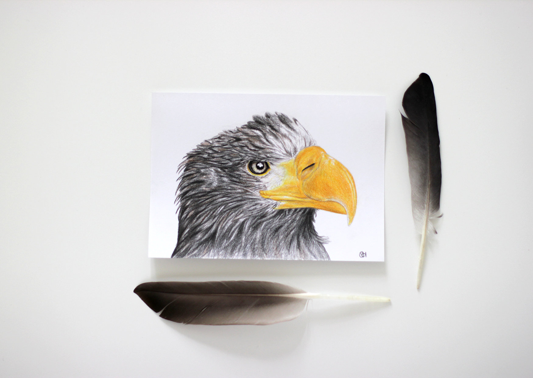 1750x1242 Original Eagle Drawing Coloured Pencil Realism Bird Art Etsy - Eagle Drawing Images