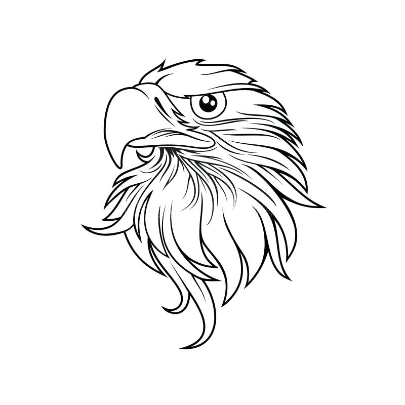 Eagle Drawing Outline at PaintingValley.com | Explore collection of ...