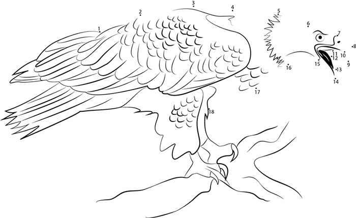 700x429 Eagle Template - Eagle Drawing Outline