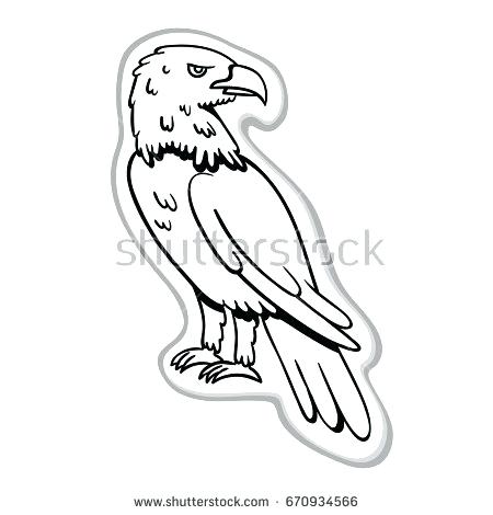 450x470 Flying Bald Eagle Black Outline Illustration Vector Stock - Eagle Drawing Outline