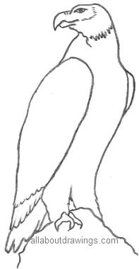 197x380 Powerful Eagle Pencil Drawings - Eagle Drawing Outline