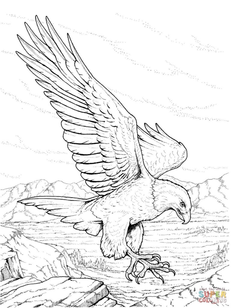 768x1024 Eagle Coloring - Eagle Drawing Outline