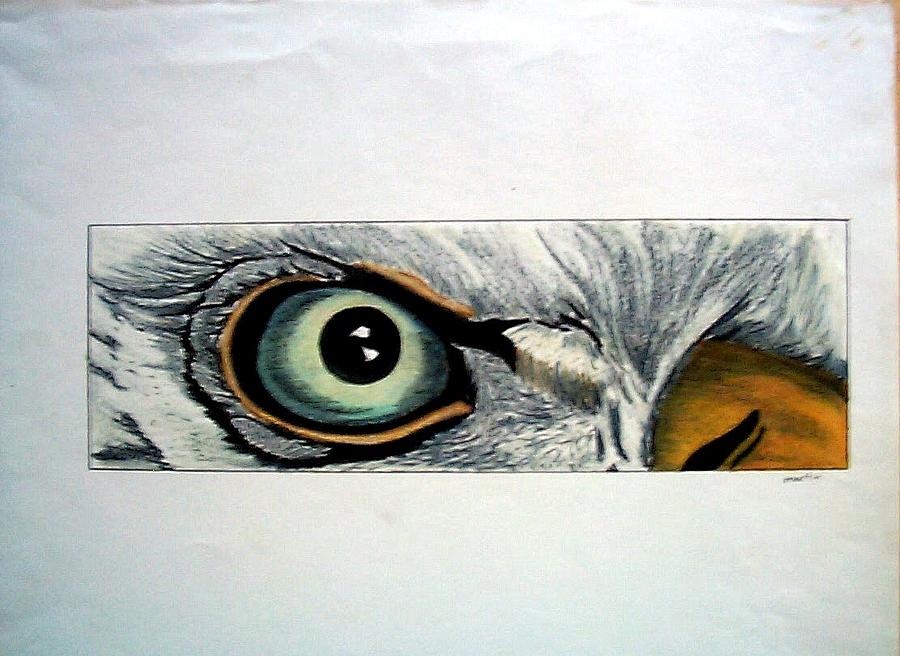 900x656 Eagle Eye Drawing - Eagle Eye Drawing