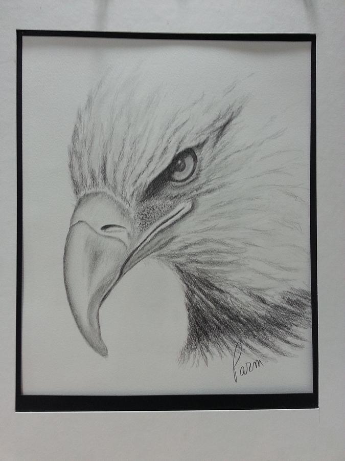 675x900 Eagle Eye Drawing - Eagle Eye Drawing