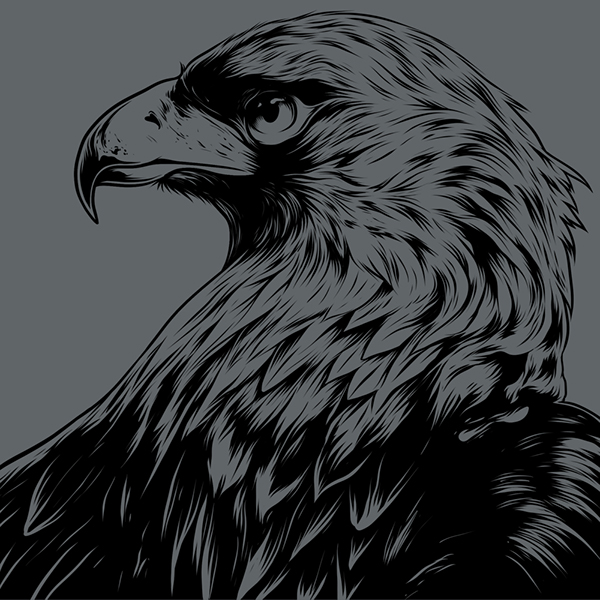 600x600 Eagle Eye In The Big Smoke On Wacom Gallery - Eagle Eye Drawing